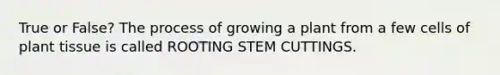 True or False? The process of growing a plant from a few cells of plant tissue is called ROOTING STEM CUTTINGS.