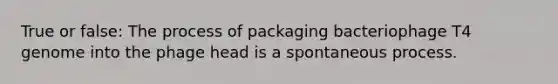 True or false: The process of packaging bacteriophage T4 genome into the phage head is a spontaneous process.