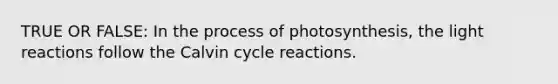 TRUE OR FALSE: In the process of photosynthesis, the light reactions follow the Calvin cycle reactions.