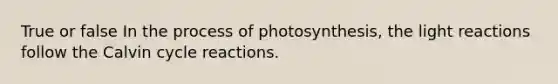 True or false In the <a href='https://www.questionai.com/knowledge/kZdL6DGYI4-process-of-photosynthesis' class='anchor-knowledge'>process of photosynthesis</a>, the <a href='https://www.questionai.com/knowledge/kSUoWrrvoC-light-reactions' class='anchor-knowledge'>light reactions</a> follow the Calvin cycle reactions.