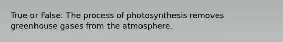 True or False: The <a href='https://www.questionai.com/knowledge/kZdL6DGYI4-process-of-photosynthesis' class='anchor-knowledge'>process of photosynthesis</a> removes greenhouse gases from the atmosphere.