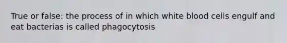 True or false: the process of in which white blood cells engulf and eat bacterias is called phagocytosis