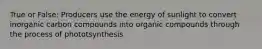 True or False: Producers use the energy of sunlight to convert inorganic carbon compounds into organic compounds through the process of phototsynthesis