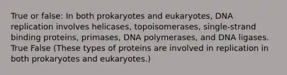 True or false: In both prokaryotes and eukaryotes, <a href='https://www.questionai.com/knowledge/kofV2VQU2J-dna-replication' class='anchor-knowledge'>dna replication</a> involves helicases, topoisomerases, single-strand binding proteins, primases, DNA polymerases, and DNA ligases. True False (These types of proteins are involved in replication in both prokaryotes and eukaryotes.)