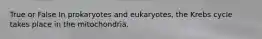 True or False In prokaryotes and eukaryotes, the Krebs cycle takes place in the mitochondria.