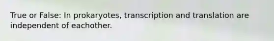 True or False: In prokaryotes, transcription and translation are independent of eachother.