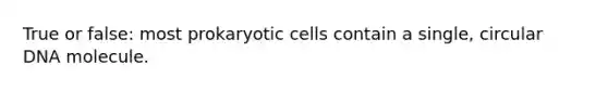 True or false: most prokaryotic cells contain a single, circular DNA molecule.