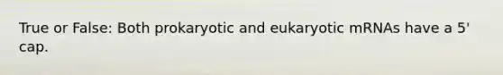 True or False: Both prokaryotic and eukaryotic mRNAs have a 5' cap.