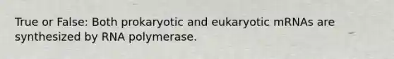 True or False: Both prokaryotic and eukaryotic mRNAs are synthesized by RNA polymerase.