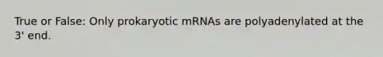 True or False: Only prokaryotic mRNAs are polyadenylated at the 3' end.