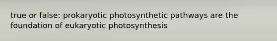 true or false: prokaryotic photosynthetic pathways are the foundation of eukaryotic photosynthesis