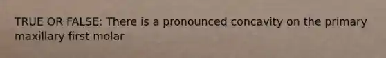 TRUE OR FALSE: There is a pronounced concavity on the primary maxillary first molar