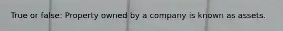 True or false: Property owned by a company is known as assets.