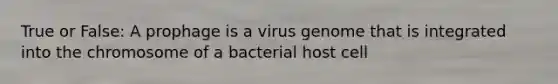 True or False: A prophage is a virus genome that is integrated into the chromosome of a bacterial host cell