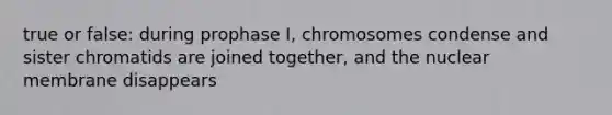 true or false: during prophase I, chromosomes condense and sister chromatids are joined together, and the nuclear membrane disappears