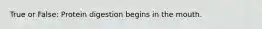True or False: Protein digestion begins in the mouth.
