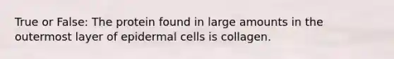 True or False: The protein found in large amounts in the outermost layer of epidermal cells is collagen.