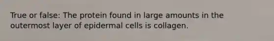 True or false: The protein found in large amounts in the outermost layer of epidermal cells is collagen.