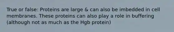 True or false: Proteins are large & can also be imbedded in cell membranes. These proteins can also play a role in buffering (although not as much as the Hgb protein)