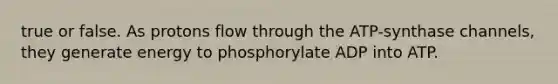 true or false. As protons flow through the ATP-synthase channels, they generate energy to phosphorylate ADP into ATP.