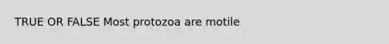 TRUE OR FALSE Most protozoa are motile