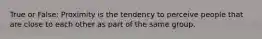True or False: Proximity is the tendency to perceive people that are close to each other as part of the same group.