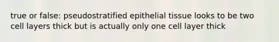 true or false: pseudostratified epithelial tissue looks to be two cell layers thick but is actually only one cell layer thick