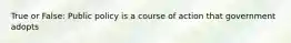 True or False: Public policy is a course of action that government adopts