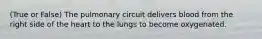 (True or False) The pulmonary circuit delivers blood from the right side of the heart to the lungs to become oxygenated.