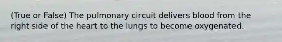 (True or False) The pulmonary circuit delivers blood from the right side of the heart to the lungs to become oxygenated.