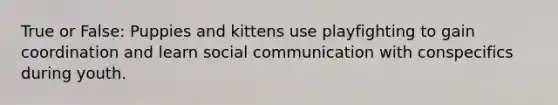 True or False: Puppies and kittens use playfighting to gain coordination and learn social communication with conspecifics during youth.