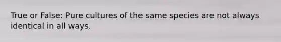 True or False: Pure cultures of the same species are not always identical in all ways.