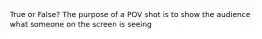 True or False? The purpose of a POV shot is to show the audience what someone on the screen is seeing