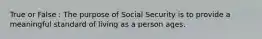 True or False : The purpose of Social Security is to provide a meaningful standard of living as a person ages.