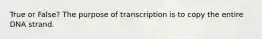 True or False? The purpose of transcription is to copy the entire DNA strand.