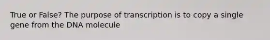 True or False? The purpose of transcription is to copy a single gene from the DNA molecule