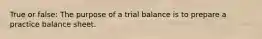 True or false: The purpose of a trial balance is to prepare a practice balance sheet.