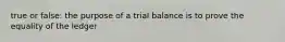 true or false: the purpose of a trial balance is to prove the equality of the ledger