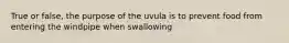 True or false, the purpose of the uvula is to prevent food from entering the windpipe when swallowing