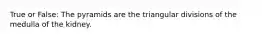 True or False: The pyramids are the triangular divisions of the medulla of the kidney.