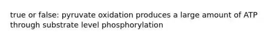 true or false: pyruvate oxidation produces a large amount of ATP through substrate level phosphorylation