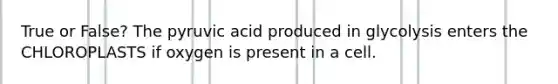 True or False? The pyruvic acid produced in glycolysis enters the CHLOROPLASTS if oxygen is present in a cell.