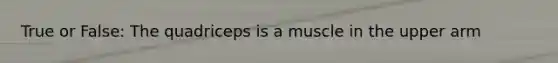 True or False: The quadriceps is a muscle in the upper arm