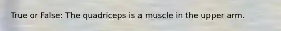 True or False: The quadriceps is a muscle in the upper arm.