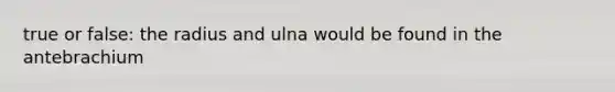 true or false: the radius and ulna would be found in the antebrachium