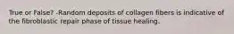 True or False? -Random deposits of collagen fibers is indicative of the fibroblastic repair phase of tissue healing.