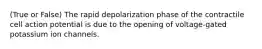 (True or False) The rapid depolarization phase of the contractile cell action potential is due to the opening of voltage-gated potassium ion channels.