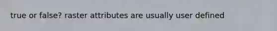 true or false? raster attributes are usually user defined