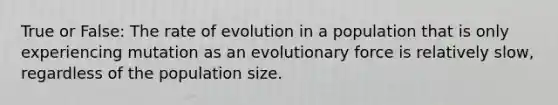 True or False: The rate of evolution in a population that is only experiencing mutation as an evolutionary force is relatively slow, regardless of the population size.