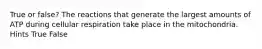 True or false? The reactions that generate the largest amounts of ATP during cellular respiration take place in the mitochondria. Hints True False